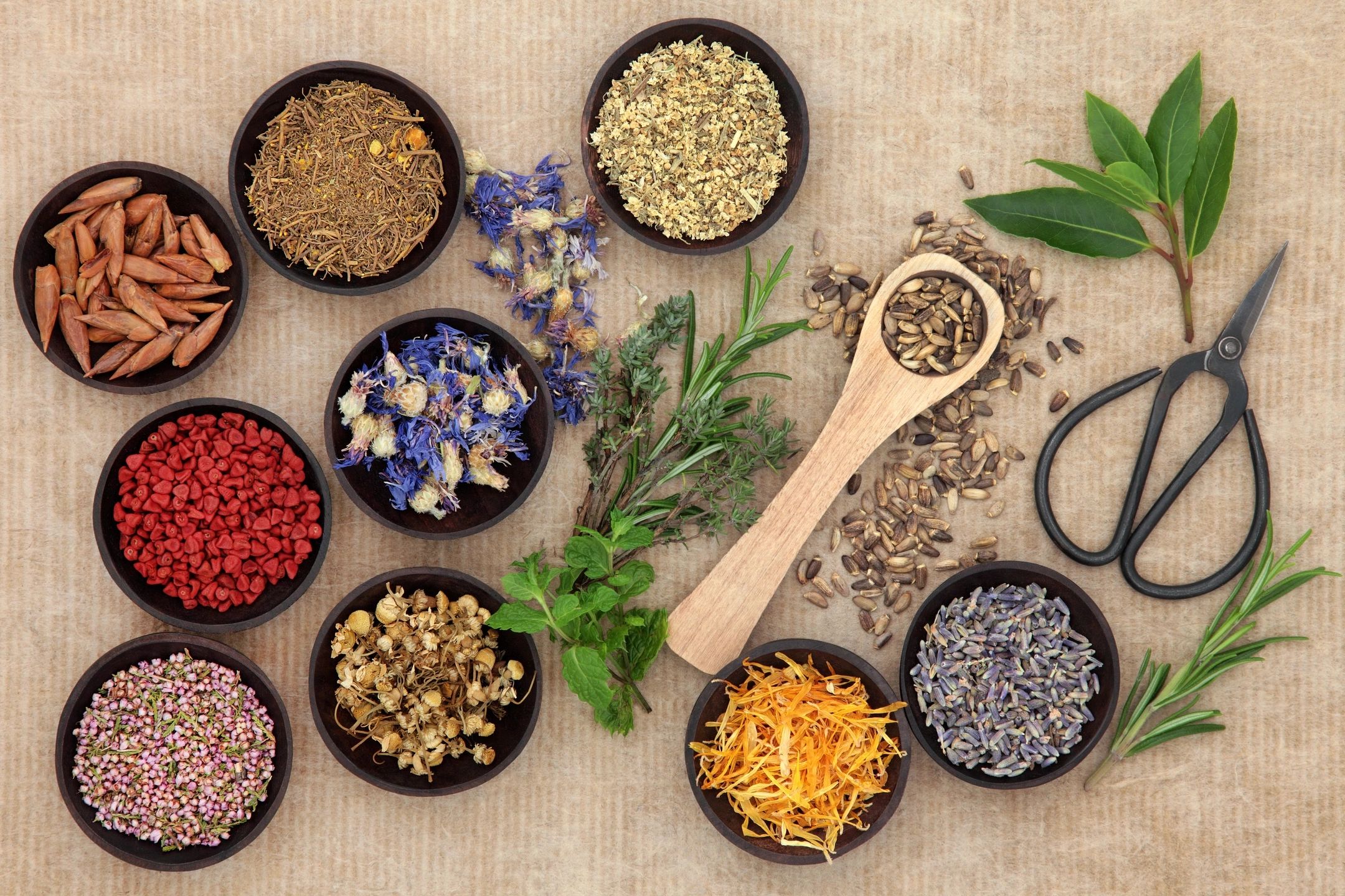 What You Need To Know About Herbs